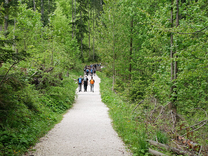 grópa osób na szlaku
